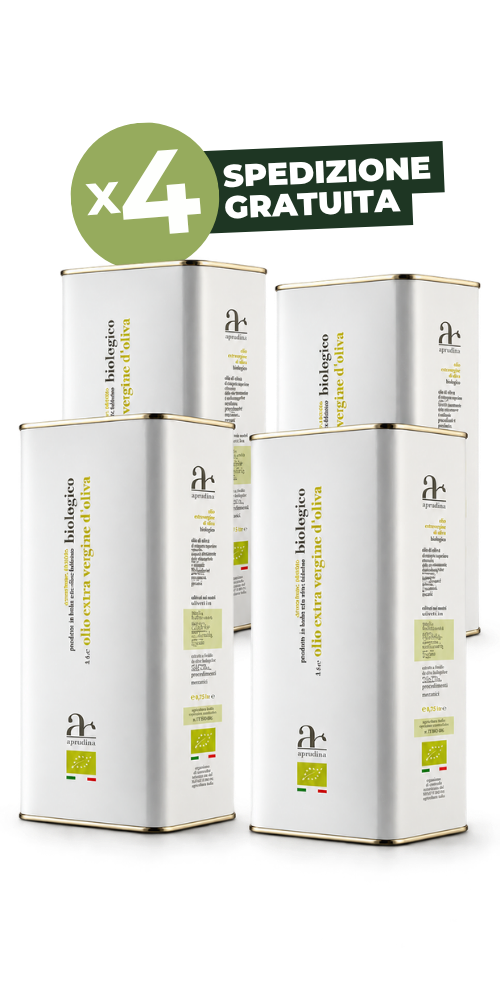 20 litri – Olio EVO Bio